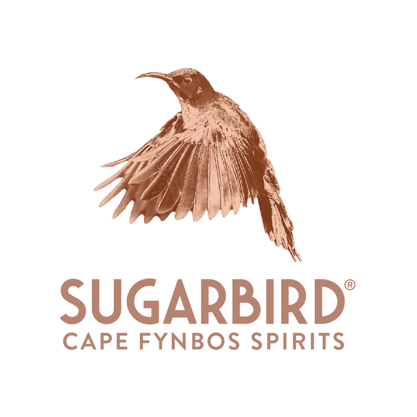 Sugarbird Gin Crackers zestaw świąteczny